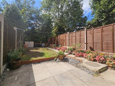 Picture 20